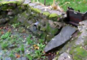 photo Découverte du lavoir privé de La Salesse et de son histoire