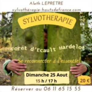 SYLVOTHERAPIE HARDELOT FORET D ' ECAULT