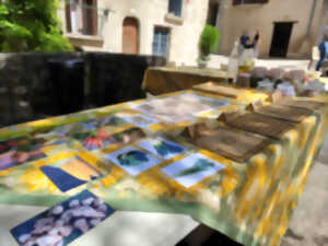 photo JOURNÉE EUROPÉENNE DU PATRIMOINE - ATELIER « LE JARDIN MÉDIÉVAL »