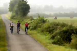 Balade bucolique à vélo