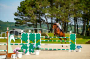 photo Equitation – Concours de Saut d'Obstacles Prépa / Amateur / Poney