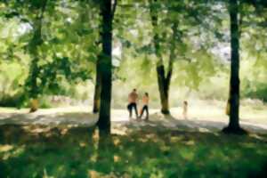 photo Promenade art et nature en forêt pour les familles