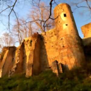 photo JOURNÉE DU PATRIMOINE : CHÂTEAU DE MONTBRUN-BOCAGE