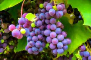 Repas des vendanges