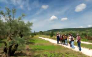 FASCINANT WEEKEND - VISITE GOURMANDE SUR LES CHEMINS DE L'OR DE MON GRAND-PÈRE