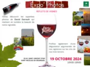 photo Le Fascinant Week-End: ils se mettent en 4 pour nos 5 vins : Reflets de Vignes