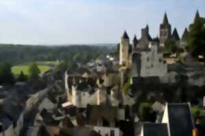 photo Visite guidée - Loches, ville musée ou ville vivante ?