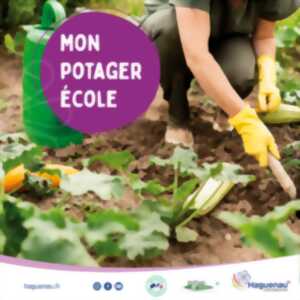 Atelier au potager-école : les aromates et fabrication de produits à partir des aromatiques