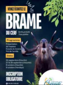 Venez écouter le brame du cerf gratuit sur inscription