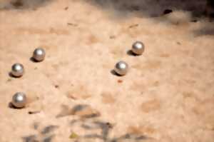 CONCOURS DE PÉTANQUE DU TRIADOU