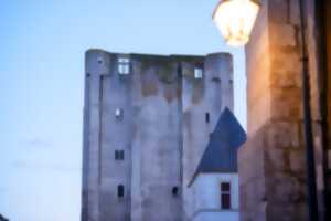 photo Visite : La découverte du Castrum de Beaugency