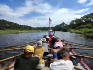 photo Initiation à l'aviron et balade sur la Pinasse