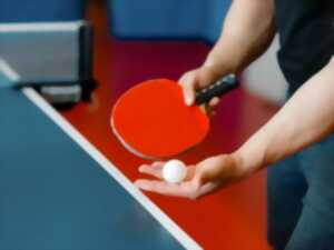 photo Initiation au Ping-Pong