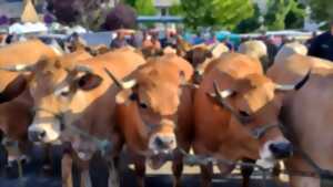 CONCOURS AGRICOLE AUBRAC