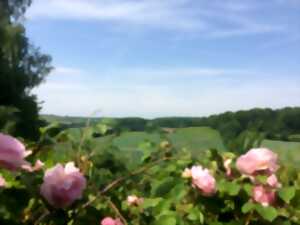 Journées du Patrimoine: Château de Monceaux