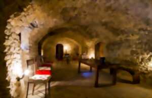 photo VENDANGEUR D'UN JOUR AU CHÂTEAU DE LASCAUX