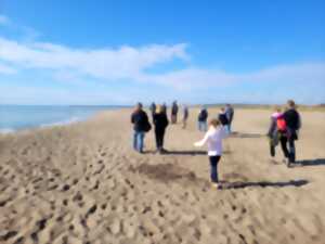 photo PARTEZ À LA DÉCOUVERTE DES TRÉSORS DE LA PLAGE ET DU LITTORAL !