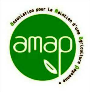 photo Marché de l'AMAPP