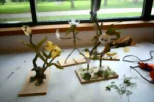 Atelier en famille - Nature en formes