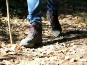 photo Randonée des Feuilles Mortes