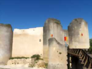 photo Journées du patrimoine : le vieux château de Gençay