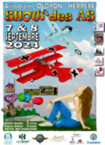 photo Show des As à l'aérodrome d'Herrère