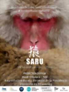 photo Conférence - « Saru, une histoire de transmission culturelle »