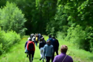 photo 62e Brevet Collard Chennegy Randonnée pédestre