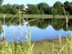 photo La Naute : Week-End Forêt