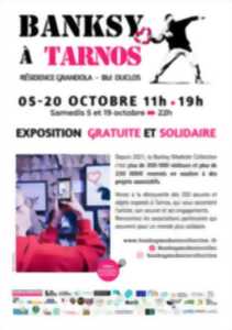 photo Exposition Bansky à Tarnos