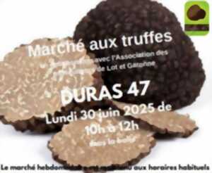 Marché aux truffes d'été