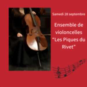 photo Concert : ensemble de violoncelles 