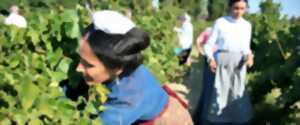 photo FÊTE DES VENDANGES ET DES TRADITIONS OCCITANES