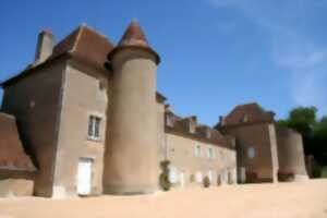 photo Journées du patrimoine : Château Naillac - Ecomusée de la Brenne