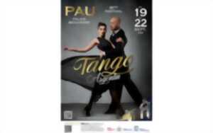 photo 16ᵉ Festival de Tango Argentin de « Pau Couleur Tango »