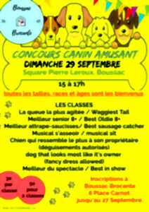 Concours canin amusant