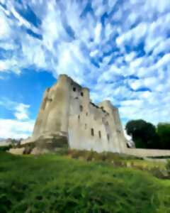 photo Découverte du Donjon de Niort - Journées européennes du patrimoine 2024.