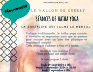 photo Séance de Hatha Yoga