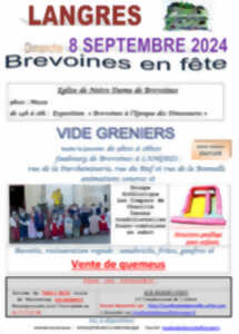 photo VIDE-GRENIERS DE BREVOINES EN FETE