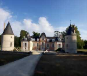 photo Château de Rocheplatte - Journées Européennes du Patrimoine 2024