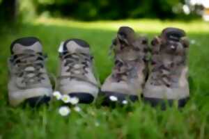 Randonnée et footing dans la forêt