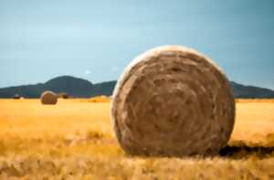 photo Fermes ouvertes : balade découverte