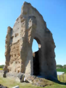 photo EXPOSITION “ET SI BRIVA ÉTAIT UN PONT : QUAND LE SITE ANTIQUE DU VIEUX-POITIERS S’APPELAIT BRIVA”