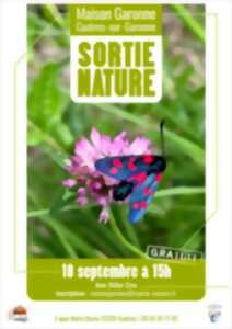 photo SORTIE NATURE