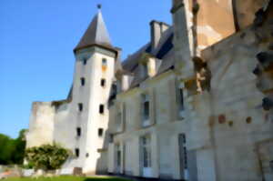 photo Château du Fou à Vouneuil sur Vienne