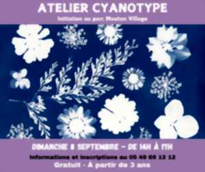 Atelier d'initiation au cyanotype