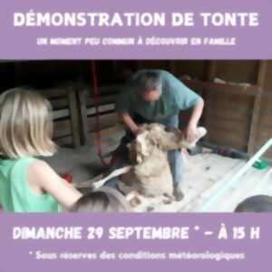 photo Démonstration de tonte