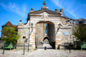 photo Le Château comtal - Les expositions temporaires - Comme un reflet d’opale