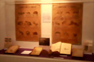 photo L’École-Musée - Exposition