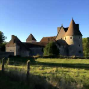 photo [JEP2024] Visite guidée du Château de Buranlure